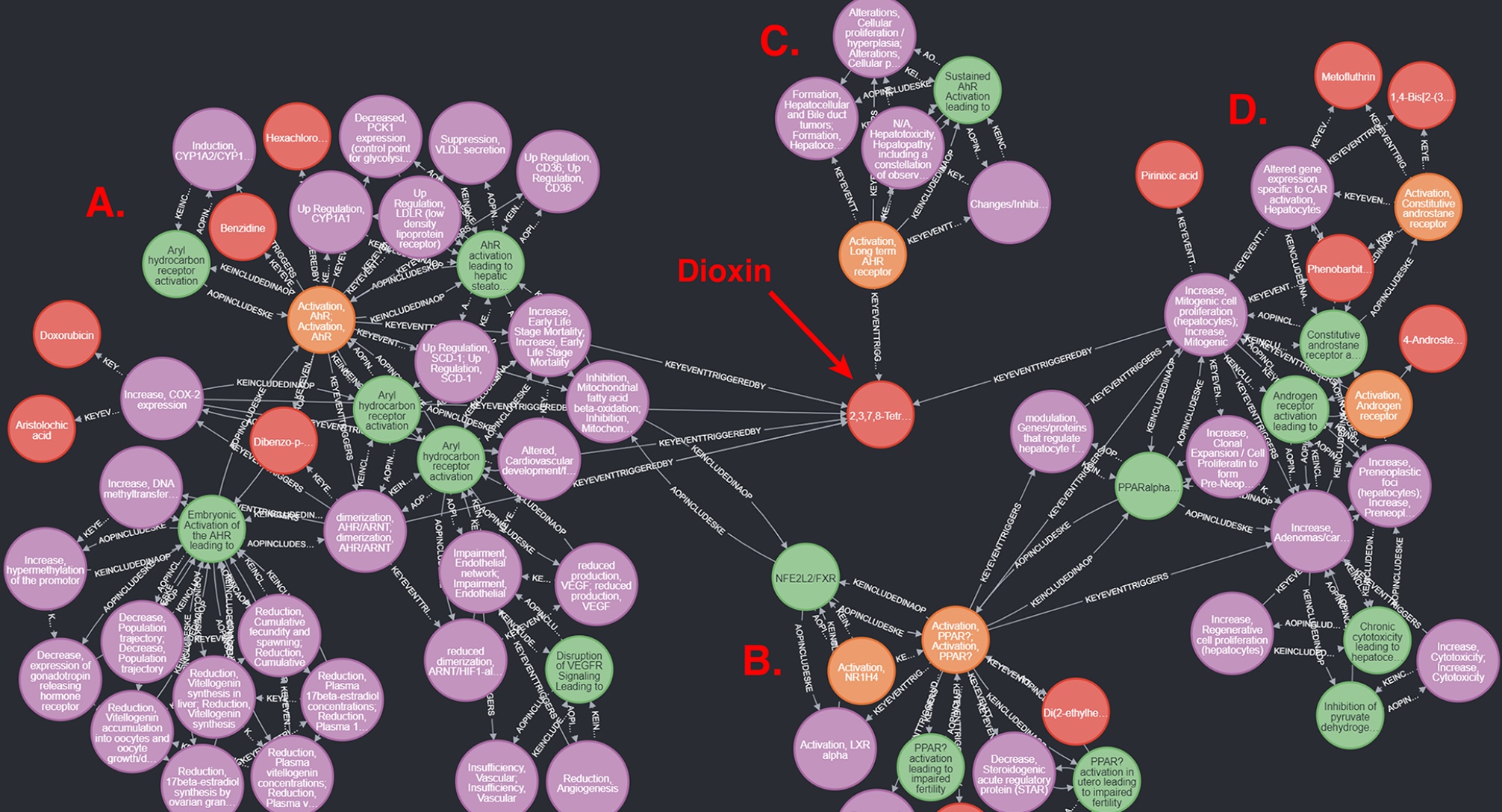 Computational Toxicology